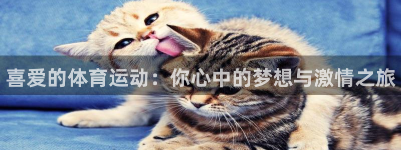 喜爱的体育运动：你心中的梦想与激情之旅