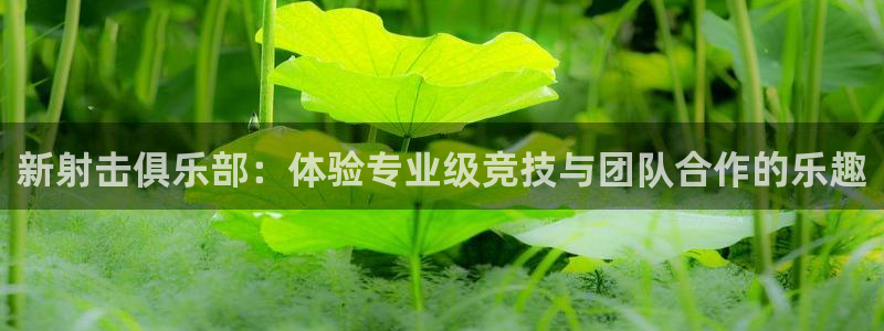 新射击俱乐部：体验专业级竞技与团队合作的乐趣
