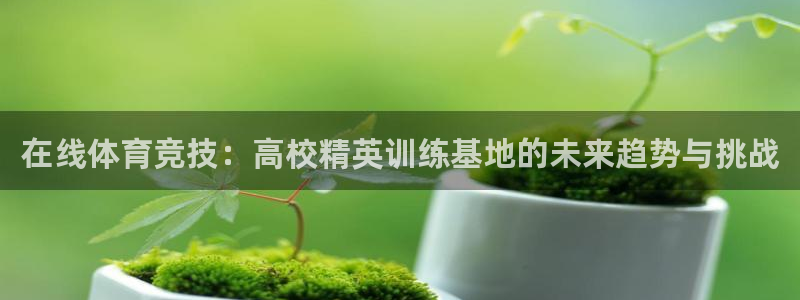 在线体育竞技：高校精英训练基地的未来趋势与挑战