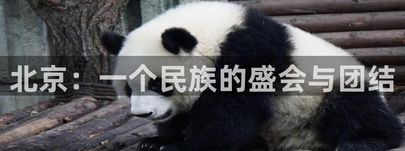 北京：一个民族的盛会与团结